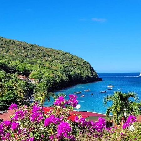 Ti-Hibiscus Bungalow T1 Clim-Wifi 30M2 2 Pers Grande Savane Экстерьер фото